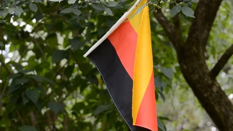 Germany flag background Stock Footage 92975058