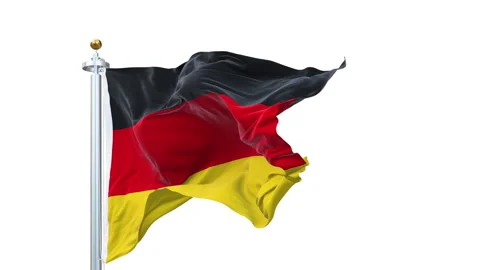 Germany flag waving looping with transparent background. 動画素材 314775567