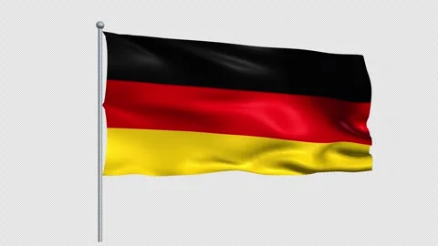 Germany Flags - Pack 1 Stock Footage 339036662