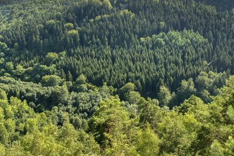 Germany, Greiz, Greiz-Werdauer-Wald, Thuringia, cultivated landscape, Elstertal, Stock-Fotos