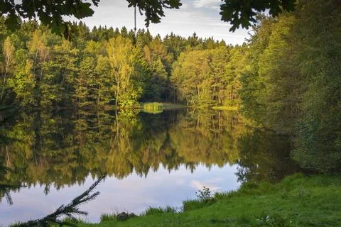 Germany, Greiz, Greiz-Werdauer-Wald, Schloetenteich, Thuringia, Vogtland Stock-Fotos