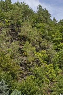Germany, Greiz, Thuringia, Thuringia, rock formation, high size, portrait, Stock-Fotos