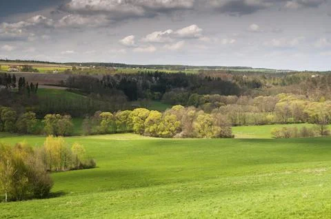Germany, Greiz, Thuringia, Thuringia, Weidatal, floodplain, floodplain, spring, Stock-Fotos