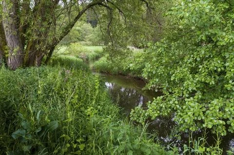 Germany, Greiz, Thuringia, Weidatal, stream, brook, rivers, landscape, landscape Stock-Fotos