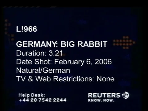 GERMANY: Large 