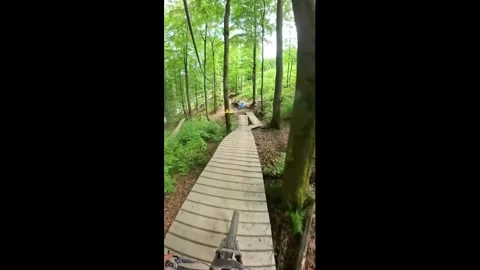 Germany: Mountain bike backflip attempt ends in fall on forest trail in W... Stock-Footage 335734796