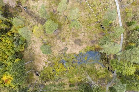 Germany, Poellwitz Forest, Thuringia, Thuringia, aerial view, bow, landscape, Stock-Fotos