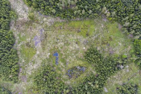 Germany, Poellwitz Forest, Thuringia, Thuringia, aerial view, bow, landscape, Stock-Fotos