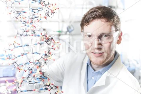 Germany, Portrait of young scientist with DNA model, smiling Stock Photos