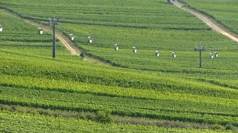 Germany - Ruedesheim - cablecar 動画素材 12166741