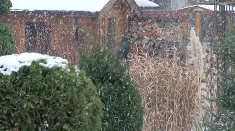 Germany - snowing Видео 21062476