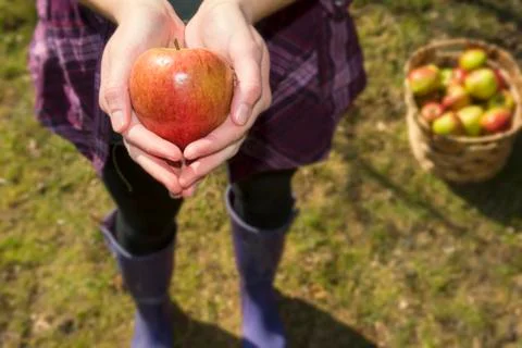 Germany, Teenage girl holding organic apple Stock Photos