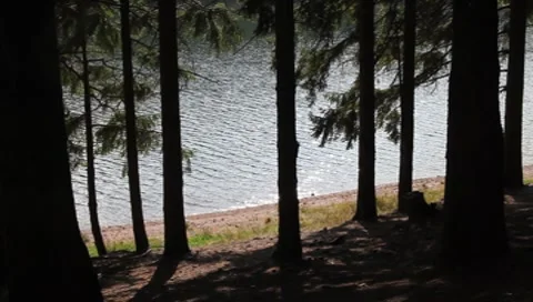 Germany - Thuringia - Luetschetalsperre Видео 8761592