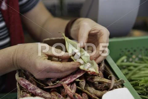 Germany, Upper Bavaria, Wolfratshausen, Mature woman buying vegetable from Stock Photos