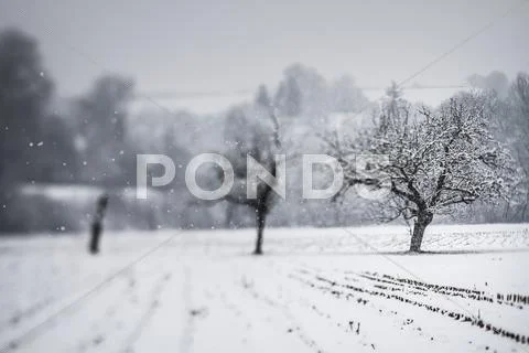 Germany, Vaihingen, Snow Covered Landscape