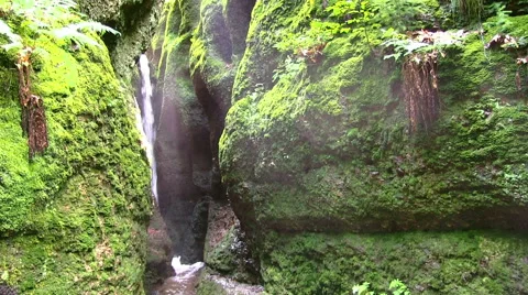 Germany - waterfall in a forest Видео 43264152