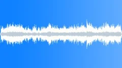 GERMANY,RESTAURANT Sound Effect