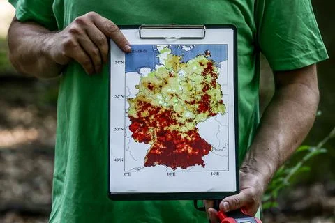 Germany's forests face wildfire risk amid drought, Templin Gollin - 03 Aug 2026 Stock Photos