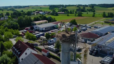 Germering, Bavaria, Germany June 2. 2023 Close up Storks in a nest Vidéo 337322220