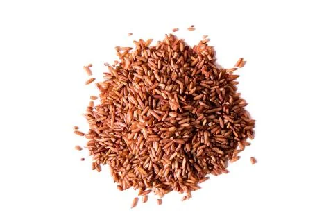 Germinated brown rice Stock Photos