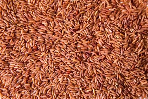 Germinated brown rice Stock Photos