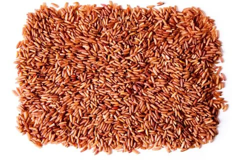 Germinated brown rice Stock Photos