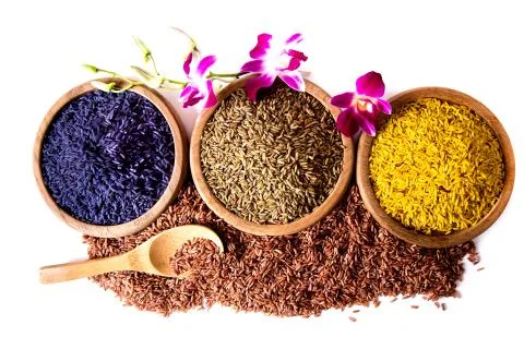 Germinated brown rice Stock Photos