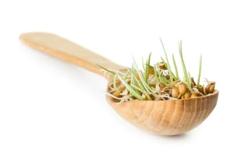 Germinated grain Stock Photos