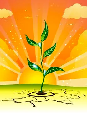Germinating plant Ilustración de archivo