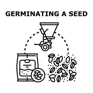 Germinating seed growth development process icon vector Stock Illustration