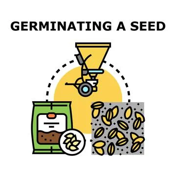 Germinating seed growth development process icon vector Stock Illustration