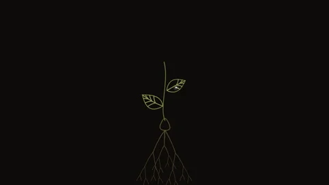 Germinating Seed Static Shot 4K Seamless Loop Stock Footage 344685558