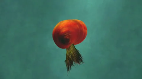 Germs or Bacteria in deep water Stock Footage 54987944