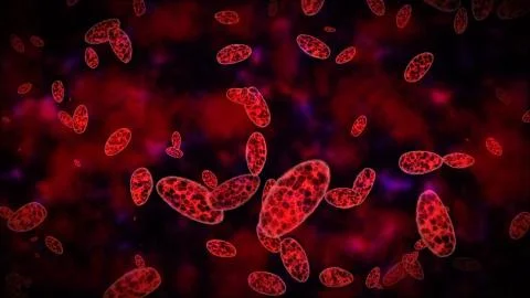 Germs or bacteria or microbes Stock Illustration