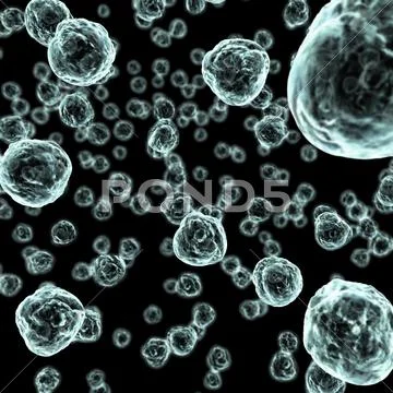 Germs or Bacteria Stock Photos