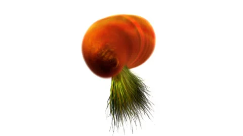 Germs or Bacteria under the microscope Stock Footage 23145630