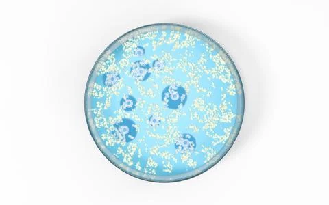 The germs in the petri dish, 3d rendering. Stock Illustration