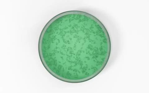 The germs in the petri dish, 3d rendering. Stock Illustration