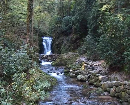 Geroldsauer Waterfall Stock Footage 77362