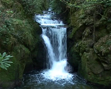Geroldsauer Waterfall Stock Footage