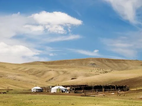 Gers in the steppe Stock Photos