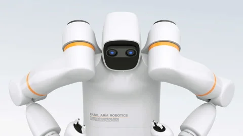 Gesture demonstration of dual-arm robot Stock Footage 114411072