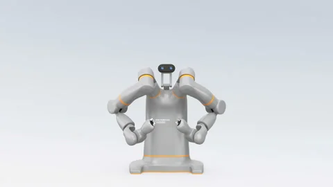 Gesture demonstration of dual-arm robot Stock Footage 114411378