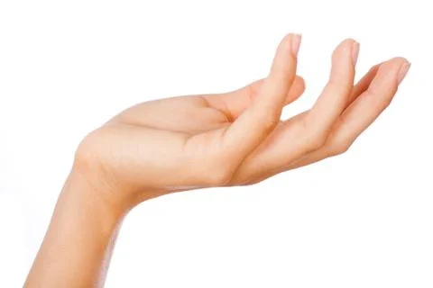 Gesture of womans open hand Stock Illustration