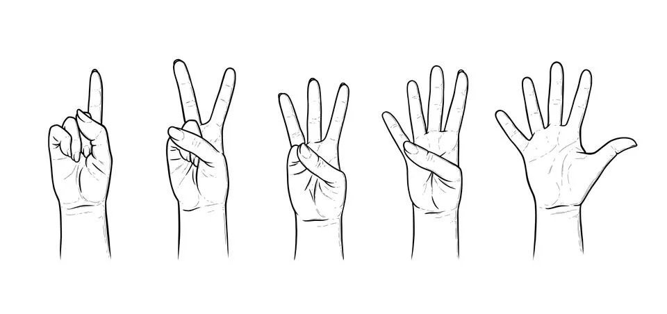 Gestures for counting from one to five. Set of hand gestures showing numbers Stock Illustration
