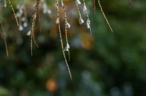 Get closer Foto stock