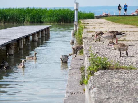 Get in now! Stock Photos