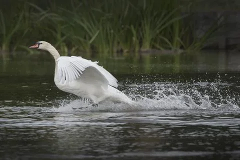 Get out of here Stock-Fotos