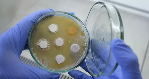 Get research results from bacteria. Stock Footage 149404229