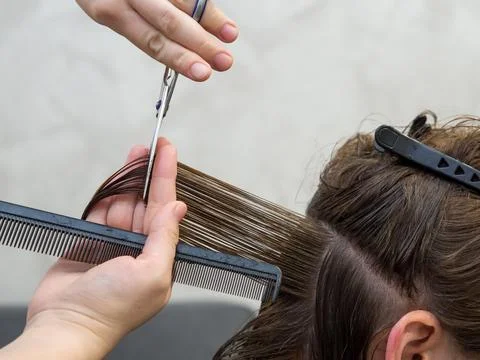 Get rid of split ends. cutting a client's hair with scissors in a beauty salo Stock Photos